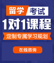 帅哥操美女逼视频网站留学考试一对一精品课